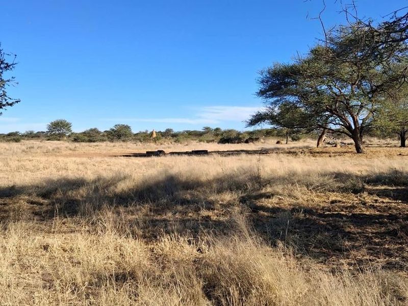 A scenic view of the expansive farm landscape featuring dry grassland and mature indigenous trees under a clear blue sky.