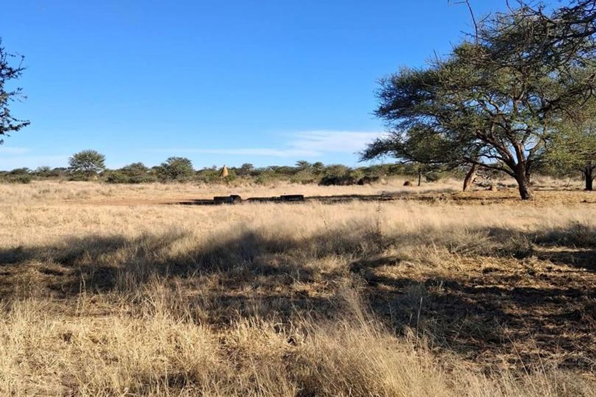 A scenic view of the expansive farm landscape featuring dry grassland and mature indigenous trees under a clear blue sky.