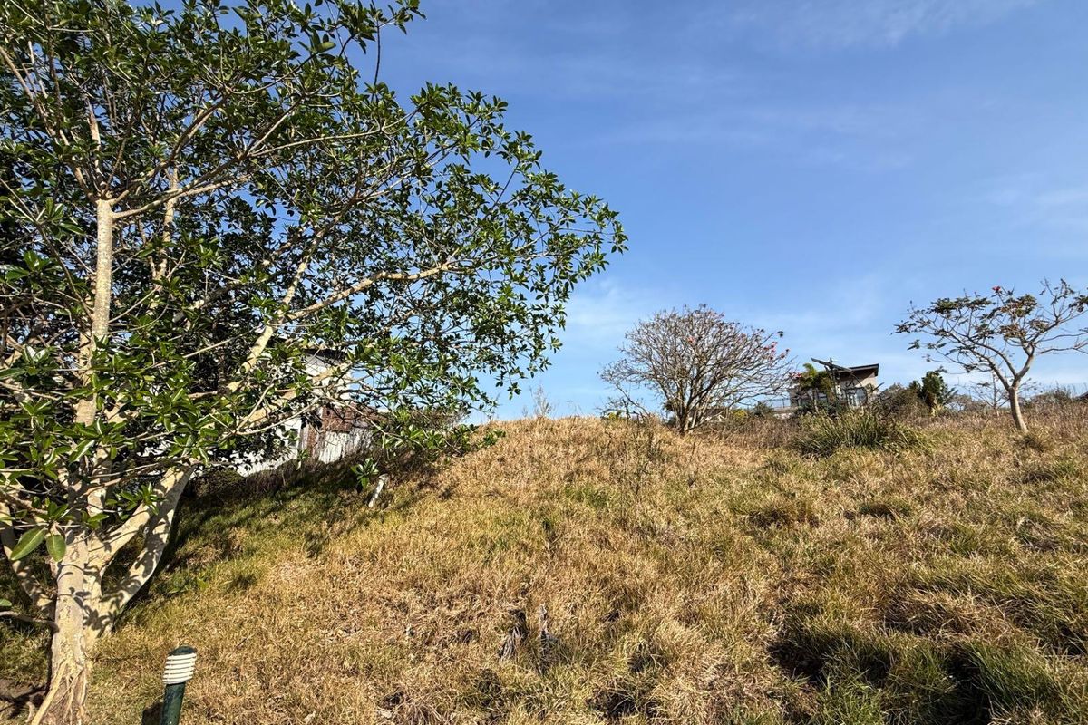 A view of the sloped, grass-covered residential land featuring mature trees and natural landscaping.