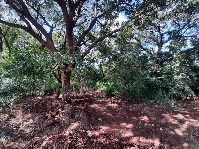 Stand for sale in Gravelotte - Photo 10