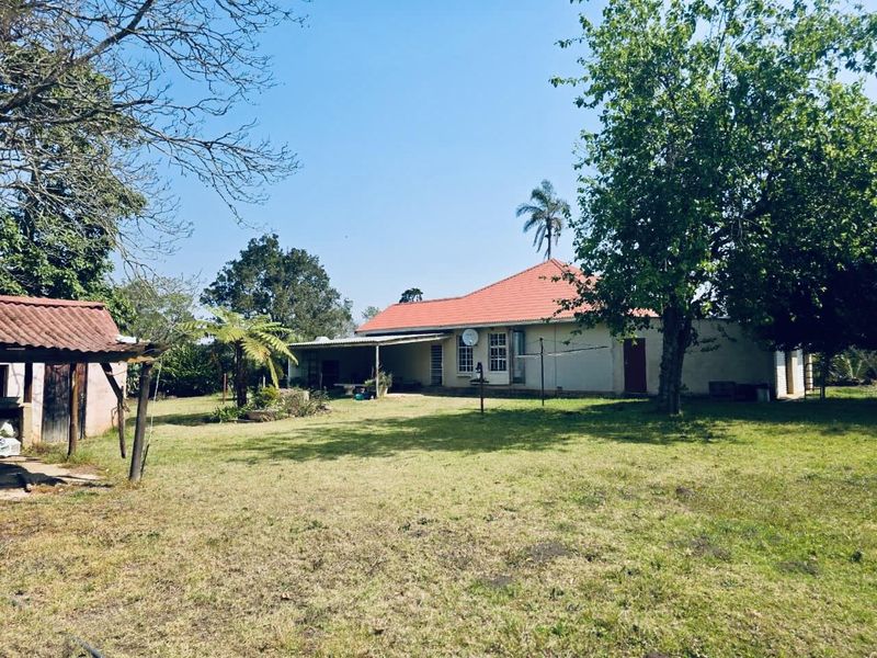 Rear view of the house featuring a covered patio, terracotta tiled roof, and a spacious garden with an adjacent outbuilding.