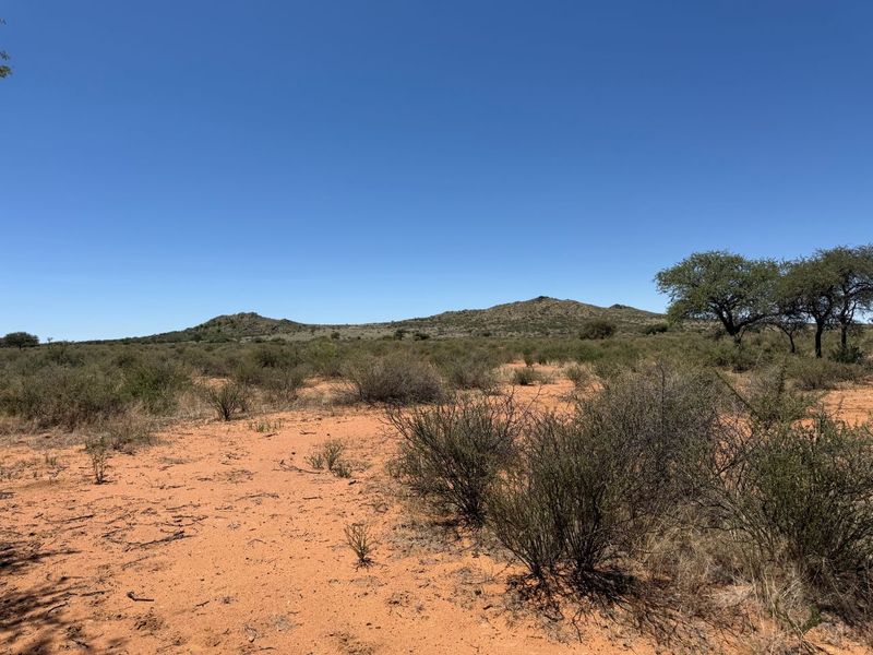 URGENT FARM SALE - Photo 9