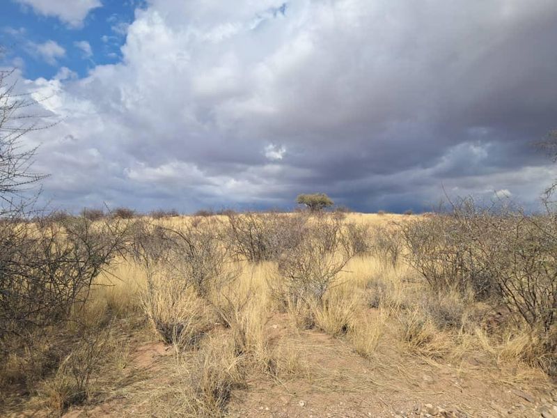 Farm Karnas - Photo 4