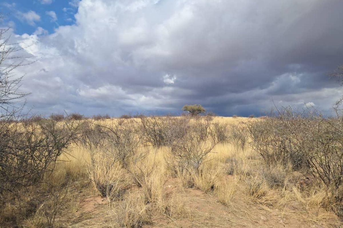 Farm Karnas - Photo 4