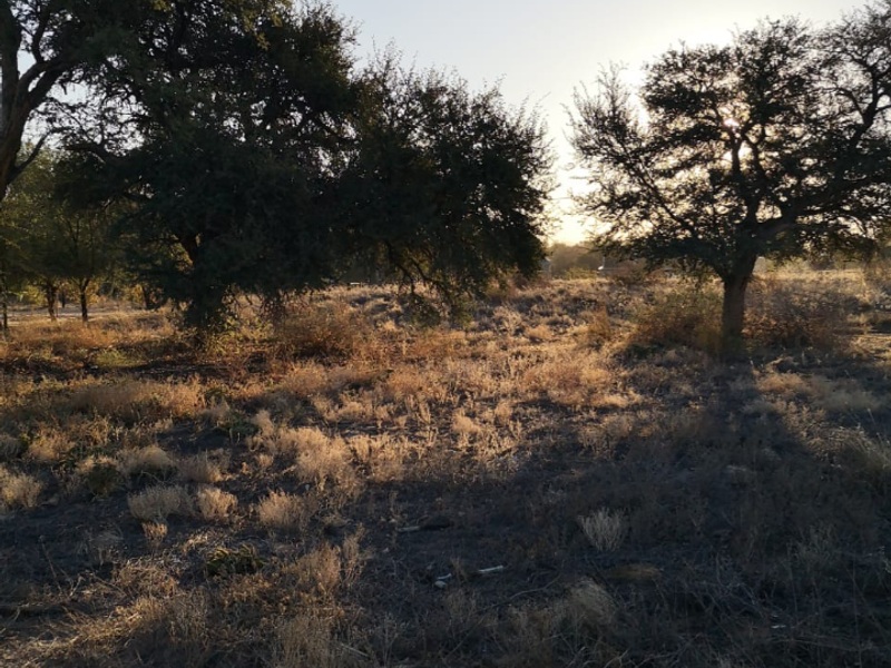 Four Vacant Stands for Sale in Askham – Prime Investment Opportunity! - Photo 3