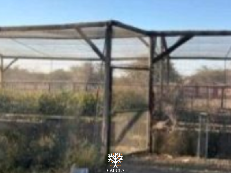 FARM FOR SALE IN GROOTFONTEIN - Photo 5