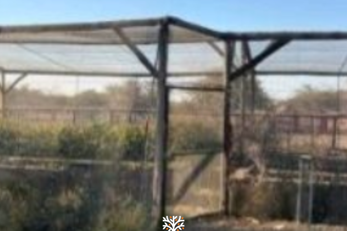 FARM FOR SALE IN GROOTFONTEIN - Photo 5