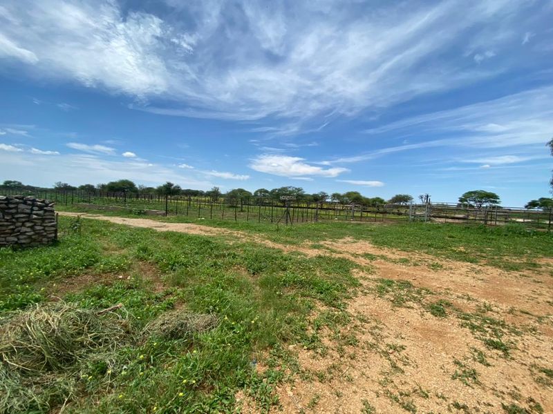 FOR SALE - Farm just outside Grootfontein - Photo 2