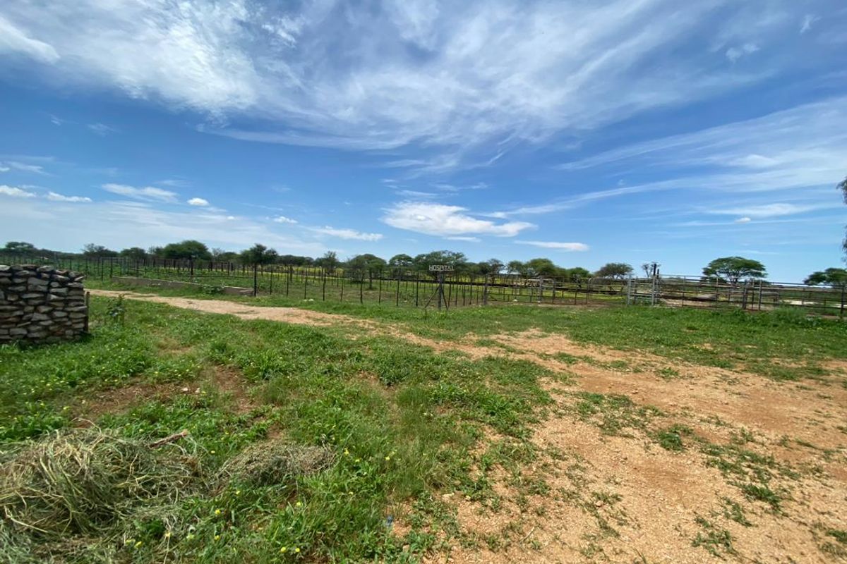 FOR SALE - Farm just outside Grootfontein - Photo 2