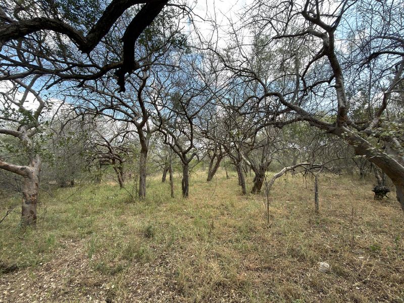 Lovely Bushveld Stand in Elephant Rock!! - Photo 6