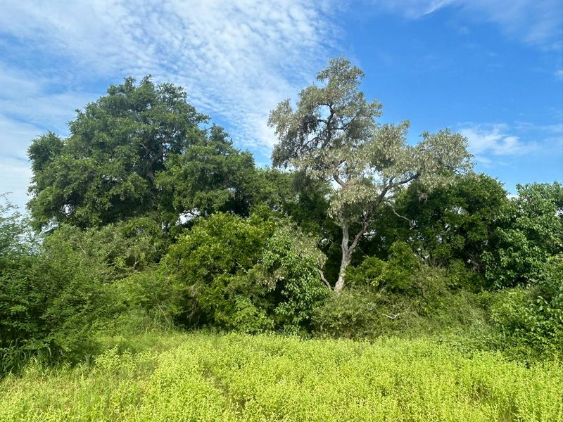 Vacant Land for sale in the new and popular Elephant Rock Eco Estate!! - Photo 7