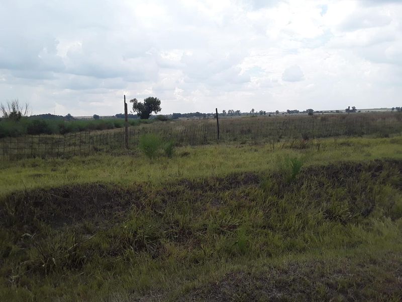 "Farm, Live, Thrive on 9.6 Hectares of Potential VACANT LAND IN KOPJES SETTLEMENT!!! - Photo 2