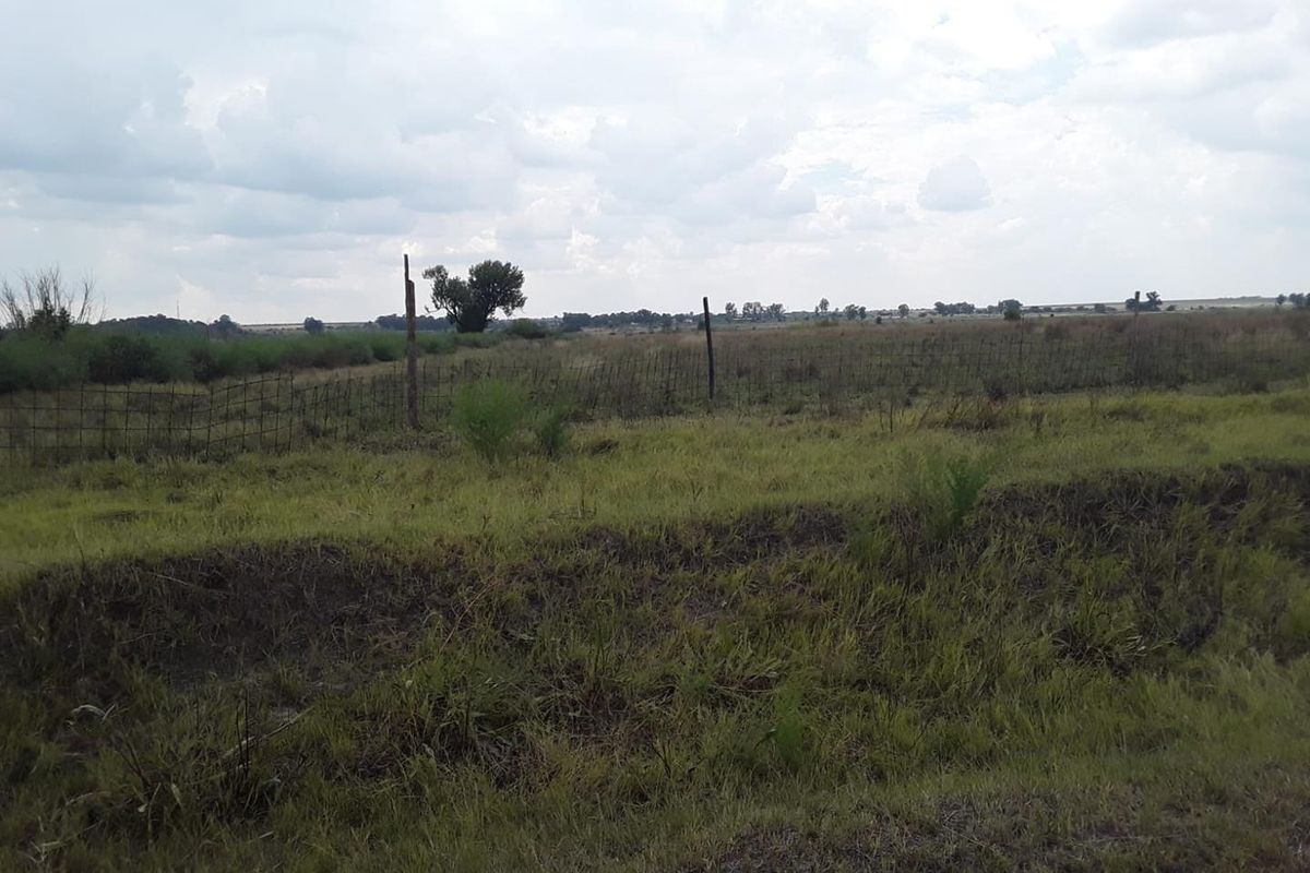 "Farm, Live, Thrive on 9.6 Hectares of Potential VACANT LAND IN KOPJES SETTLEMENT!!! - Photo 2