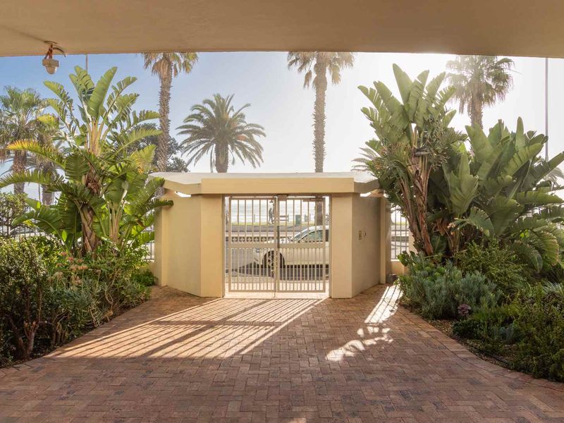 Sunny Studio Beachfront Penthouse - Photo 9