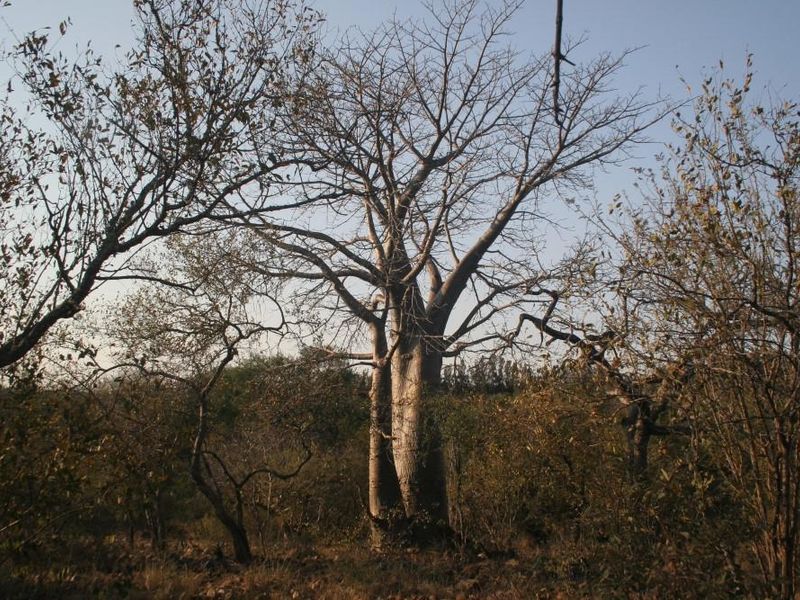 Alluring riverfront stand for sale. - Photo 6