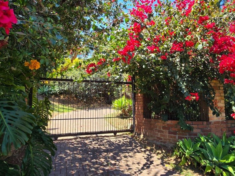 Orion's Belt - At Home Among the Stars - Photo 3