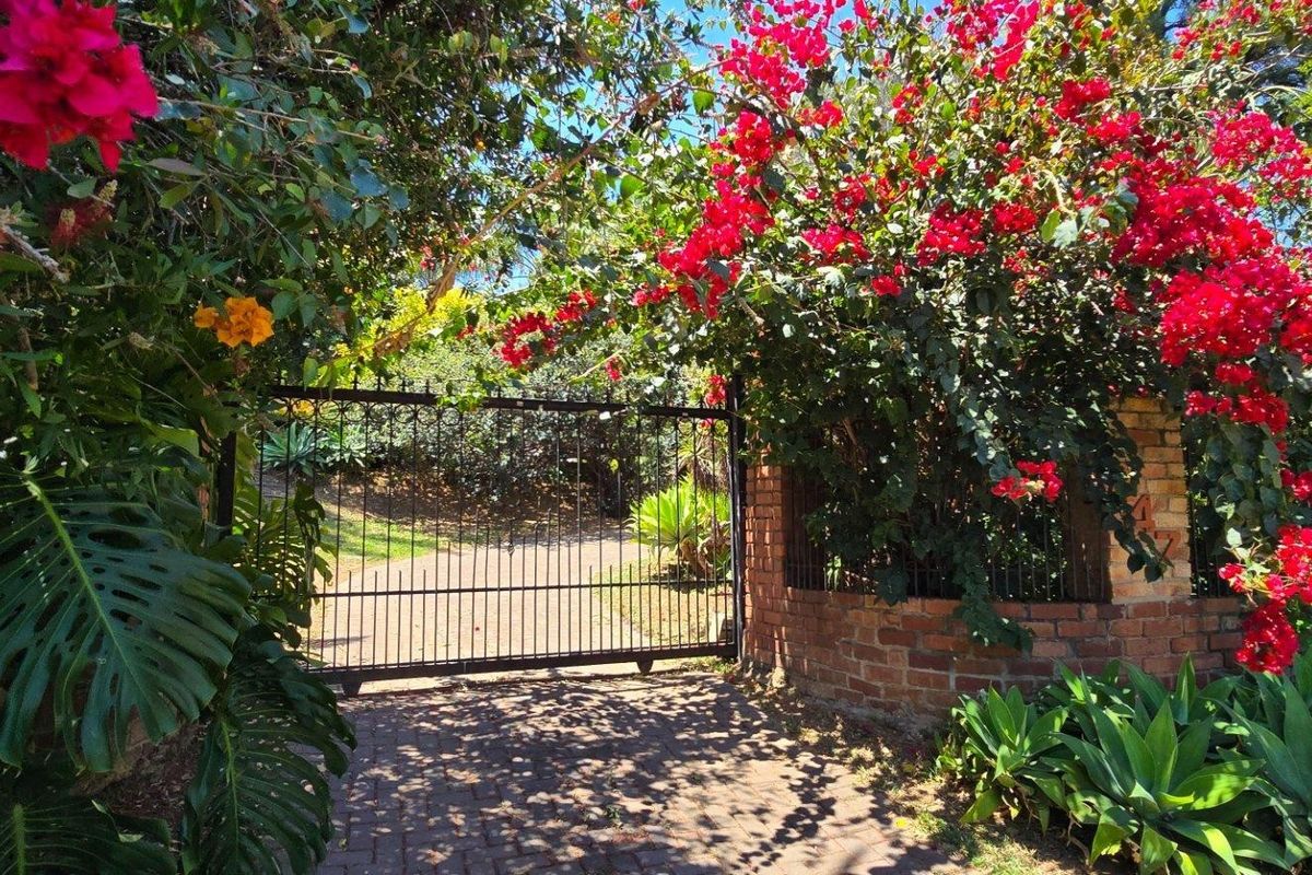 Orion's Belt - At Home Among the Stars - Photo 3