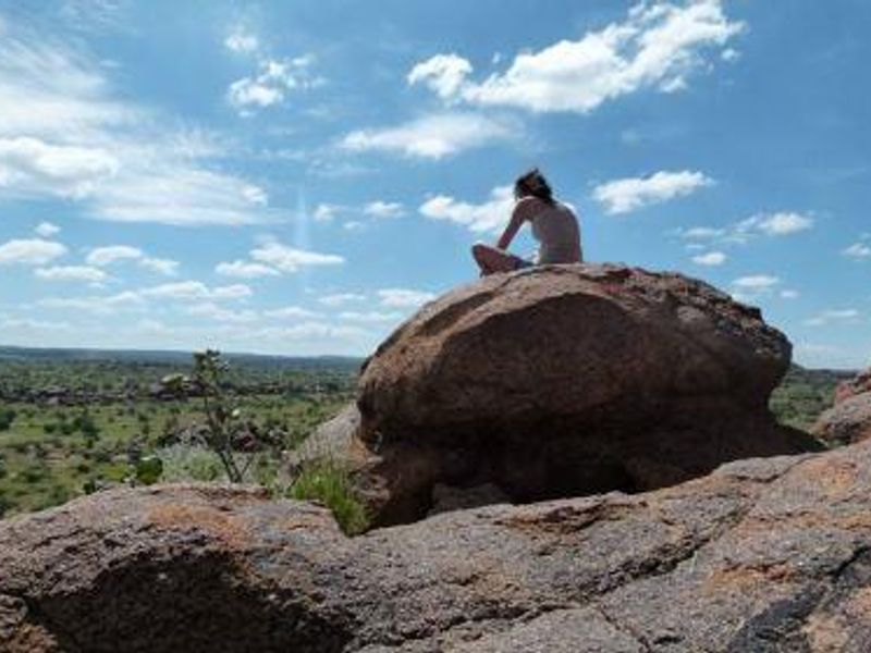 Guest Farm for Sale below Valuation - Photo 9