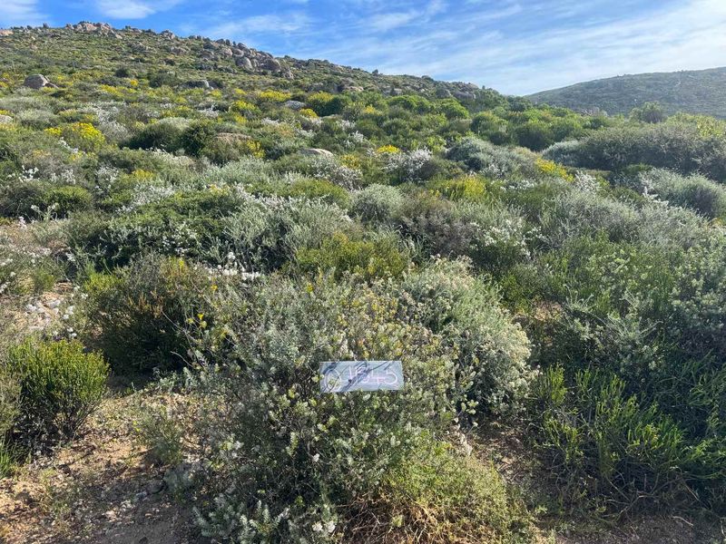 Coastal Stand for Sale – St Helena Views Phase 2 - Photo 1