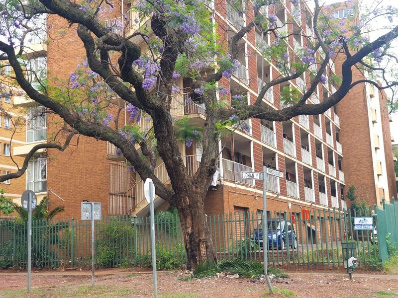 Bargain 3 Bedroom Apartment - Photo 4