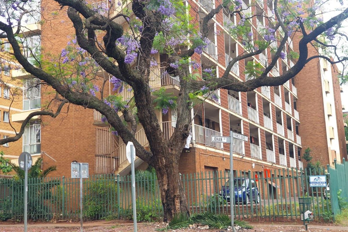 Bargain 3 Bedroom Apartment - Photo 4