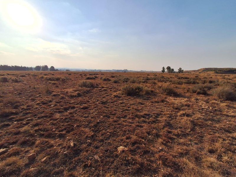 Exceptional Value - 4.9 Hectare Vacant Land - Photo 4