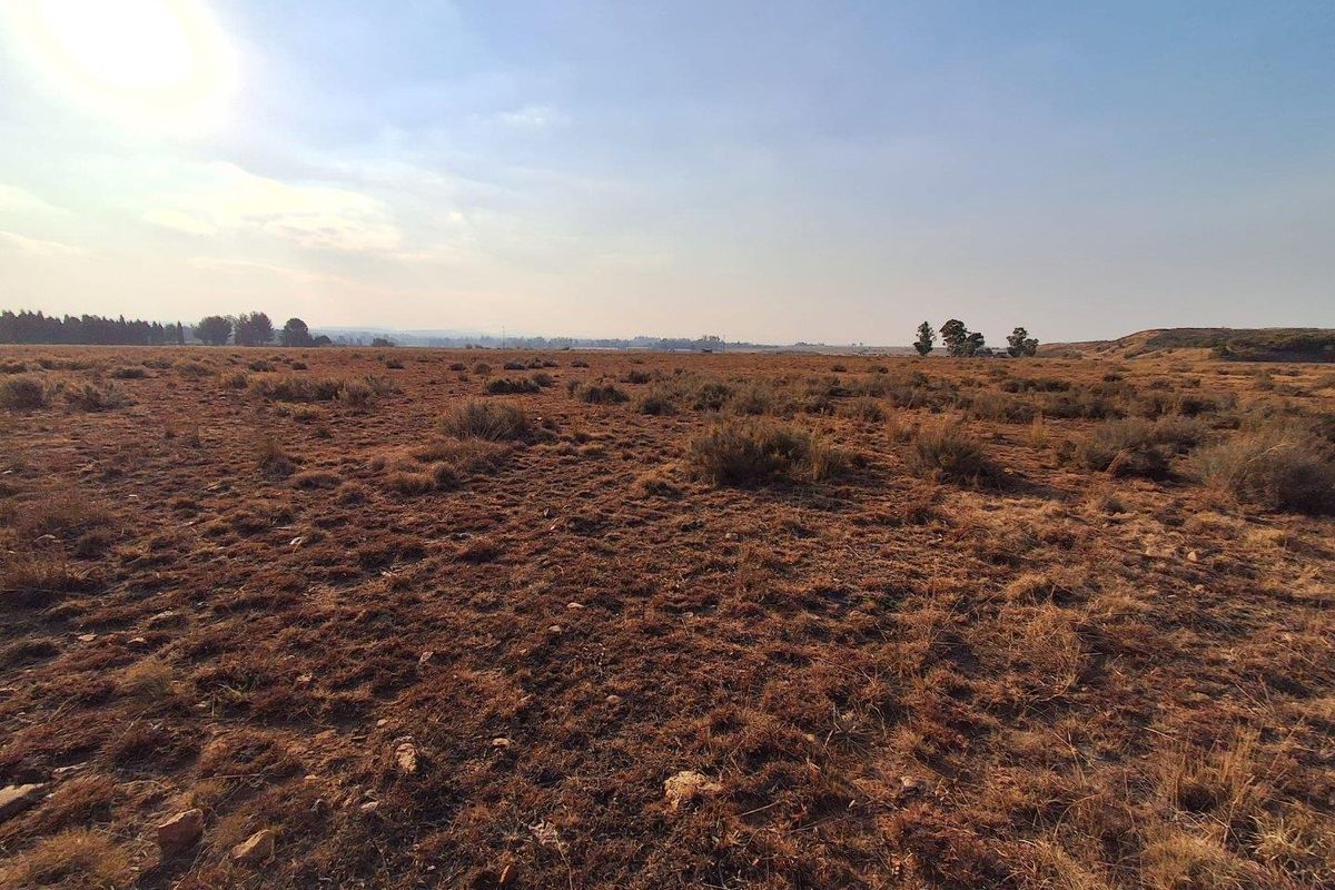 Exceptional Value - 4.9 Hectare Vacant Land - Photo 4