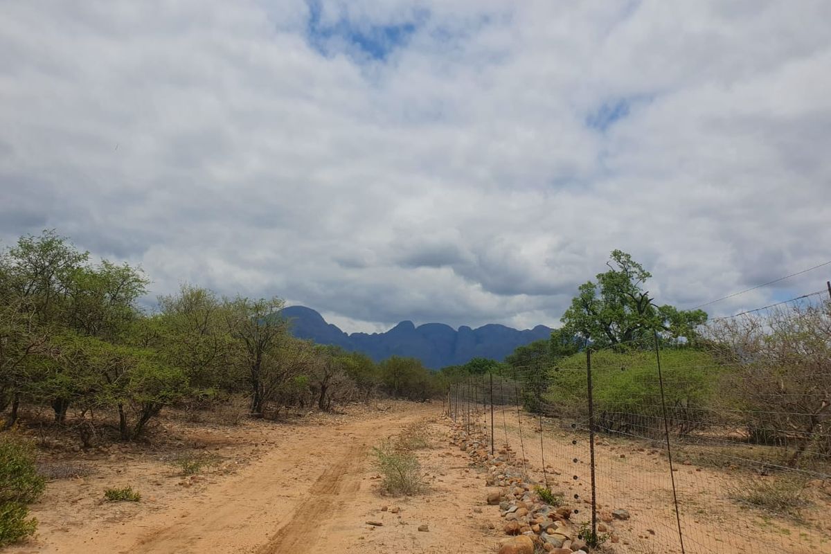 New, 4-Bedroom Family Home – to be constructed in Blyde Wildlife Estate - Photo 3