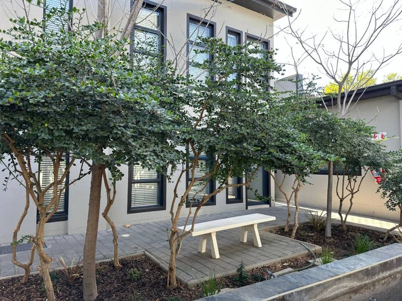 A well-maintained rear exterior area featuring a paved patio, mature trees, and modern multi-pane windows on the office building facade.