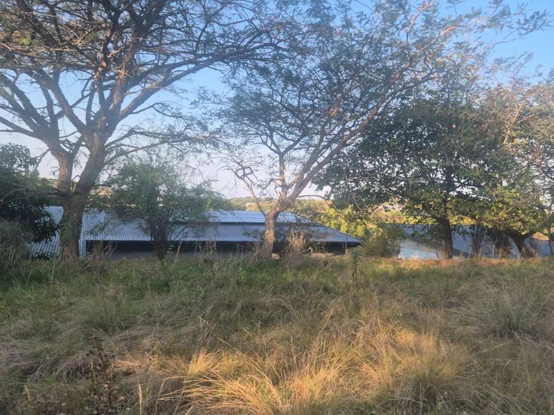A view of the rear of the property featuring mature trees and a corrugated metal roof structure set within a natural landscape.
