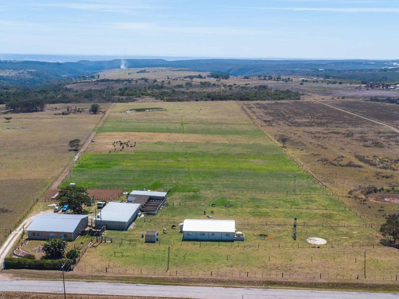 Dairy Farm for Sale, Eastern Cape - Photo 4
