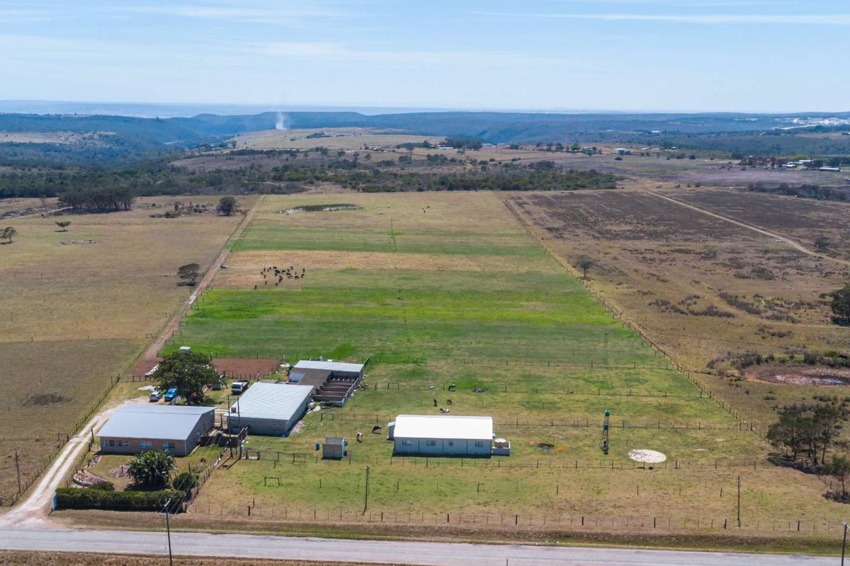 Dairy Farm for Sale, Eastern Cape - Photo 4