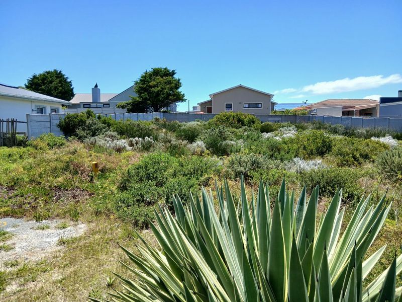 A vacant residential plot featuring established native vegetation and enclosed by a precast concrete boundary wall in a suburban setting.