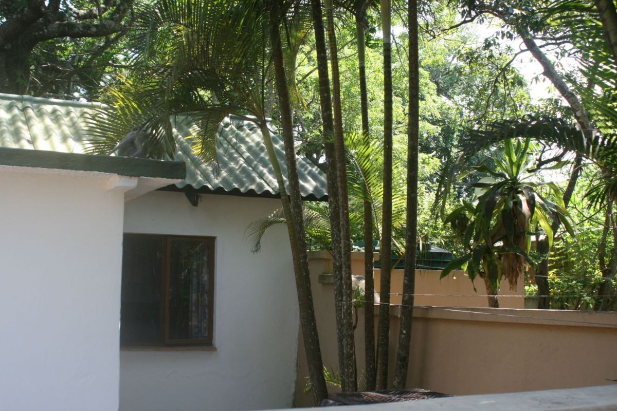 A view of the exterior building facade featuring a corrugated roof, window, and surrounding garden area with mature trees.