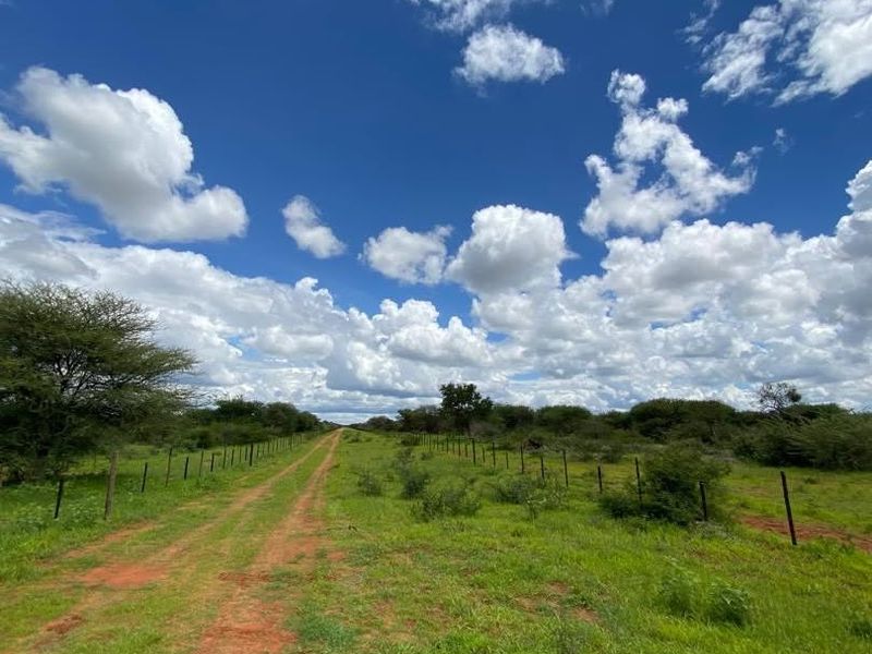 A Rare 1,268.25-Hectare Game Farm in the Hochfeld Area - Photo 7