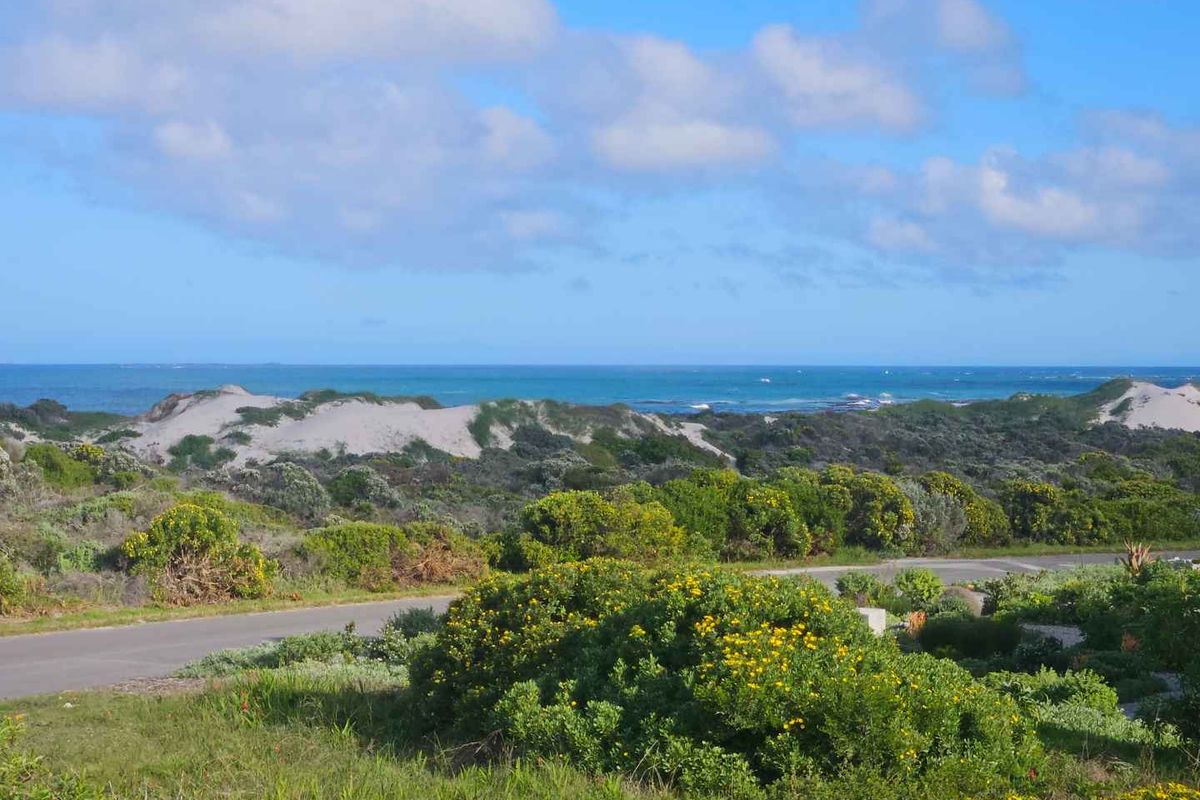 Prime Coastal Stand – Walking Distance to the Beach - Photo 5