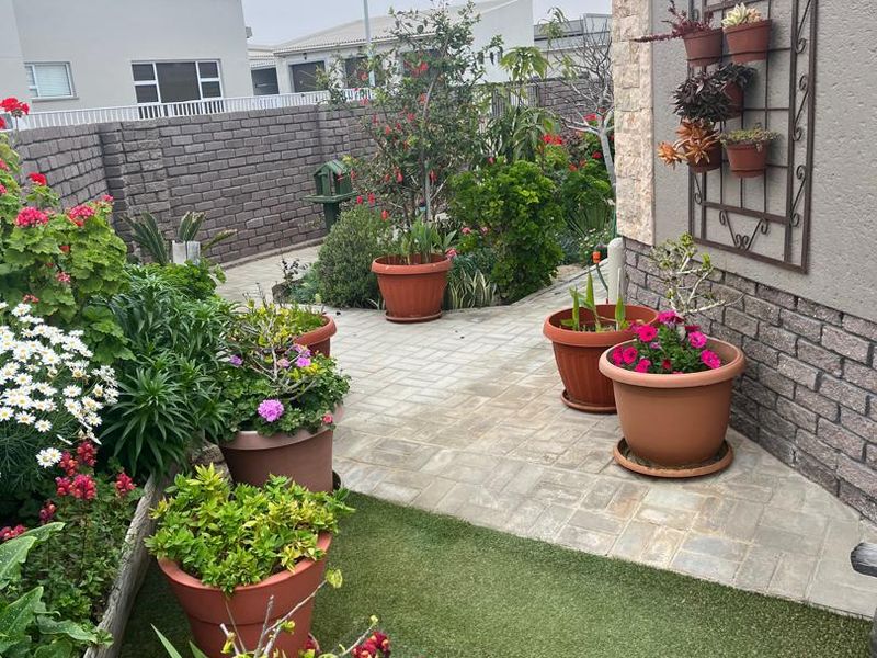 A well-maintained front entrance area featuring stone cladding, paved pathways, artificial turf, and a brick boundary wall.