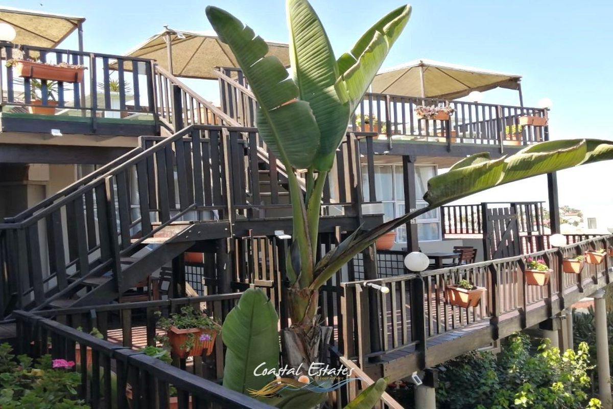 Business Opportunity - Fully Operational Self-Catering Guesthouse in Swakopmund - Photo 2