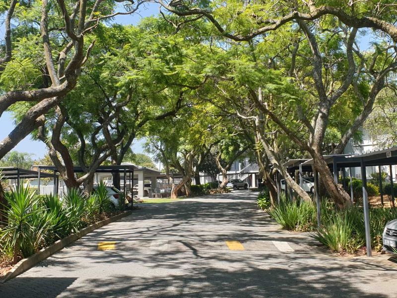 Comfortable Move-in ready - Ground floor 2 Bedroom Apartment - Photo 2