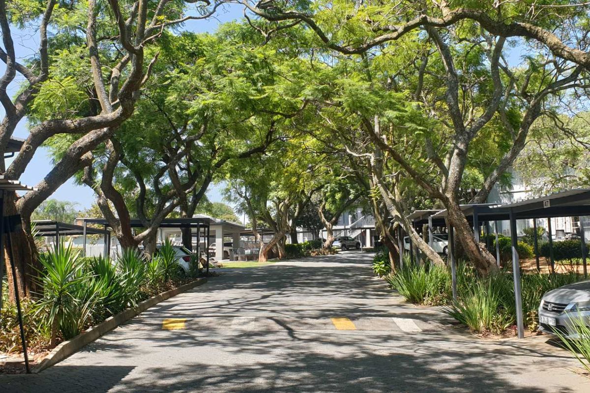 Comfortable Move-in ready - Ground floor 2 Bedroom Apartment - Photo 2