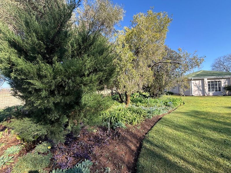 A well-maintained garden area featuring a manicured lawn, established garden beds, and mature trees, with a glimpse of the property's exterior in the background.