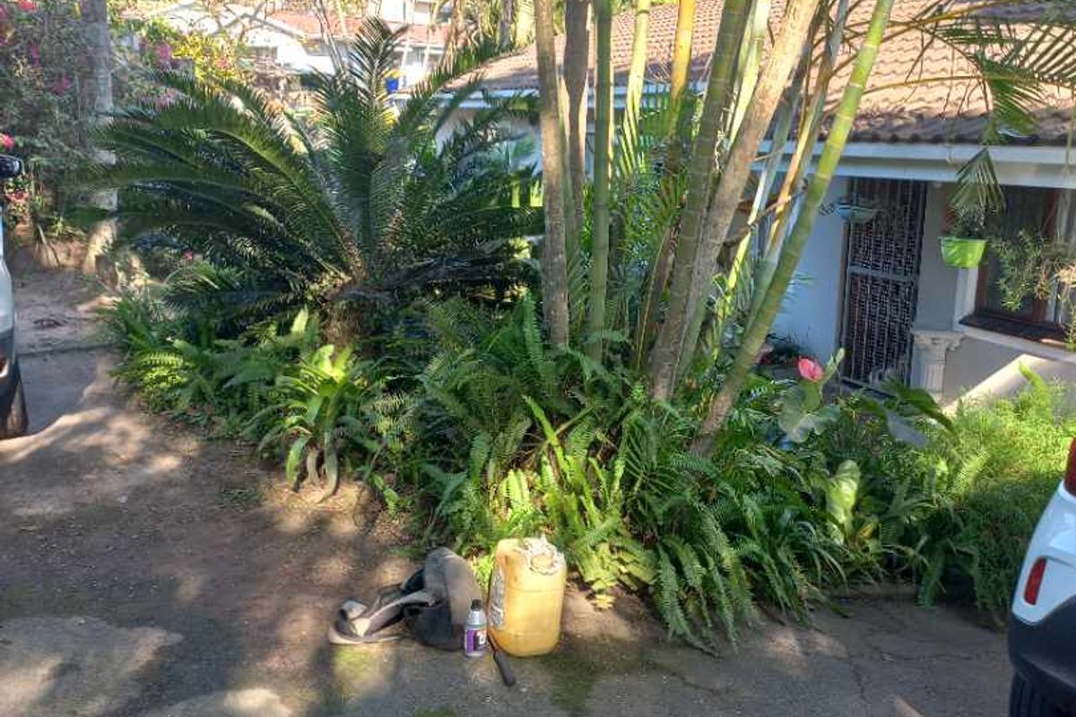 Charing 3-Bedroom Family Home for Sale - Photo 3