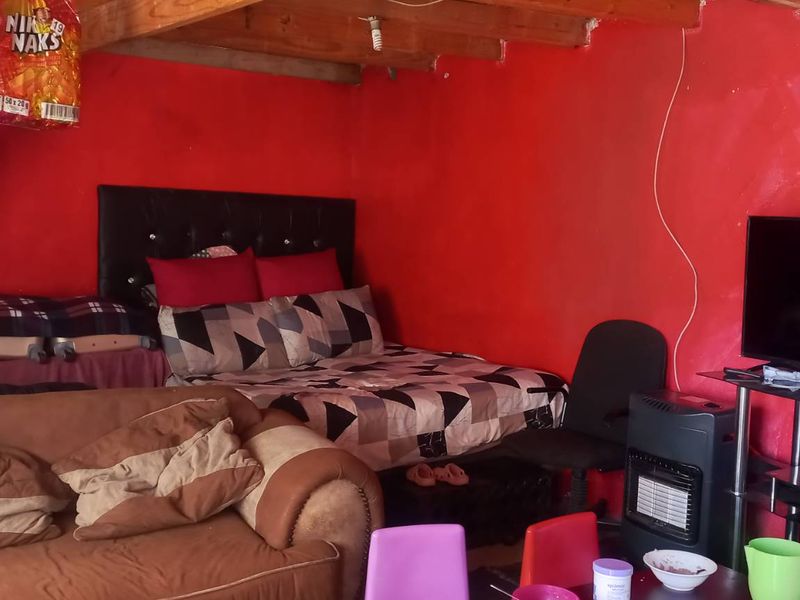 Open plan living and sleeping area featuring exposed timber ceiling beams and vibrant red wall finishes.