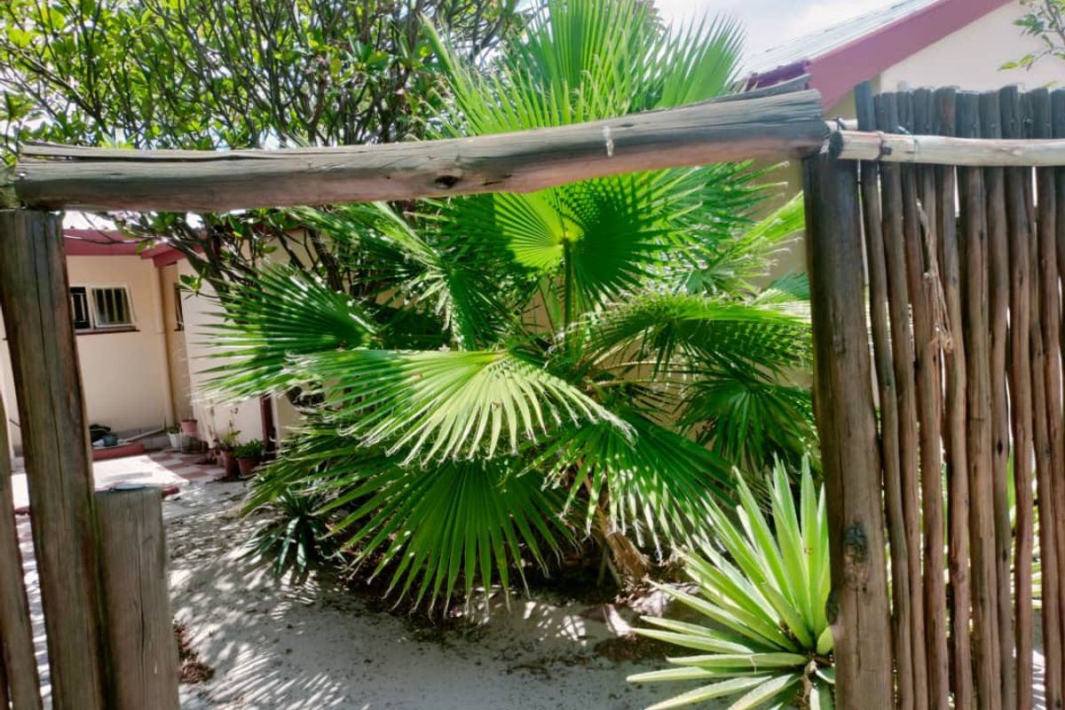 Your Dream Home Awaits: Rent in Oshakati East - Photo 2
