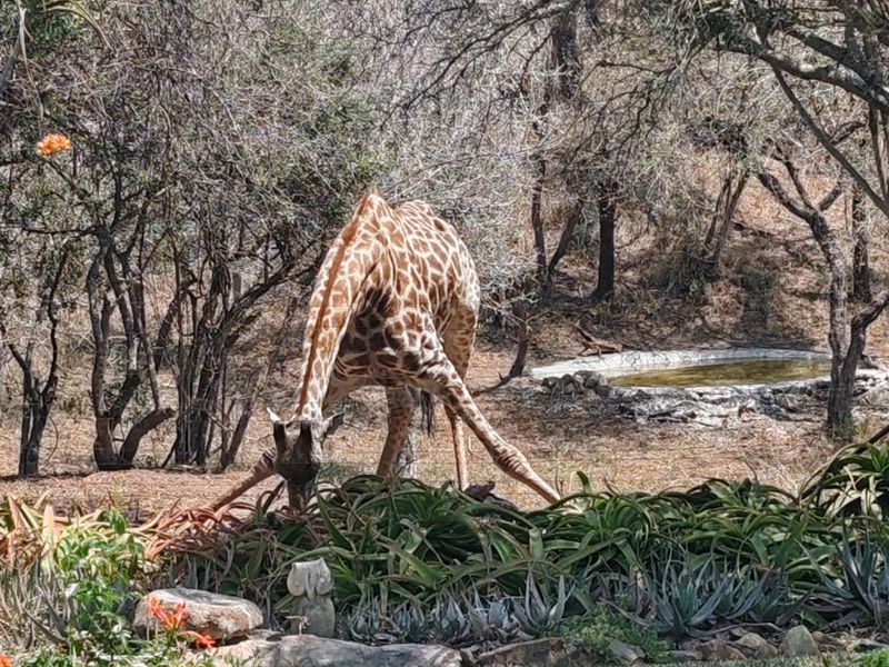 Comfortable furnished three-bedroom home - Photo 5