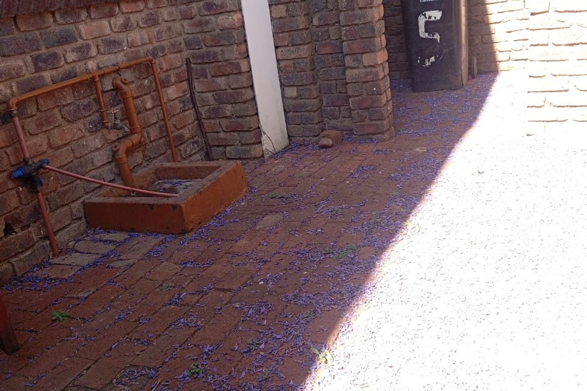 A rear courtyard area featuring exposed brick walls, paved flooring, and external plumbing fixtures with a concrete wash basin.