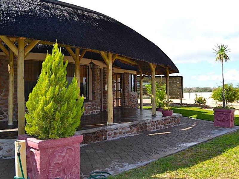 A well-maintained guest house exterior featuring a traditional thatched roof, stone-clad walls, and a spacious covered patio area overlooking the garden.