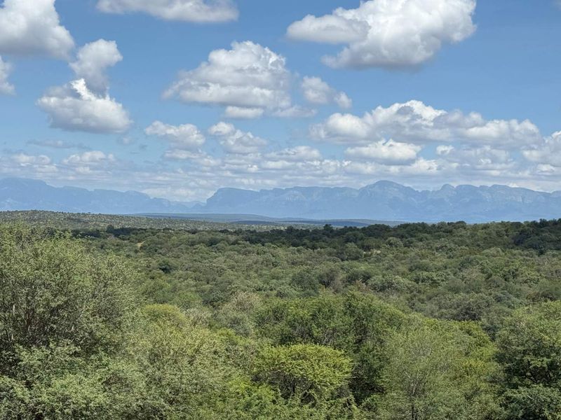 Prime Development opportunity between Hoedspruit and Phalaborwa - Photo 2