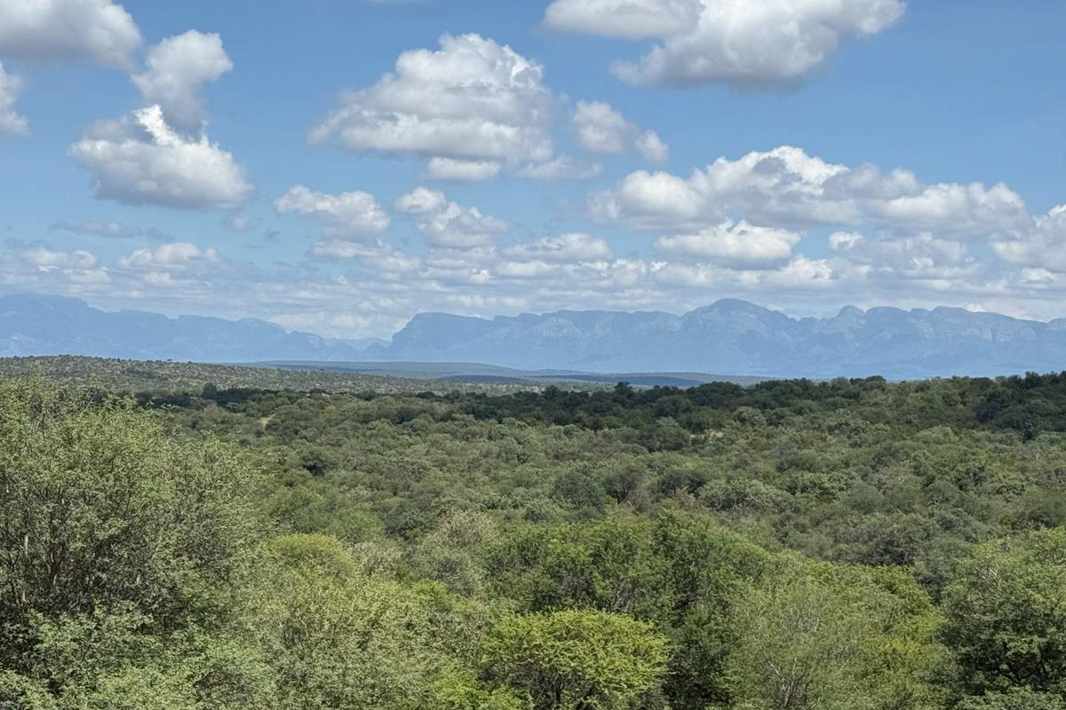 Prime Development opportunity between Hoedspruit and Phalaborwa - Photo 2