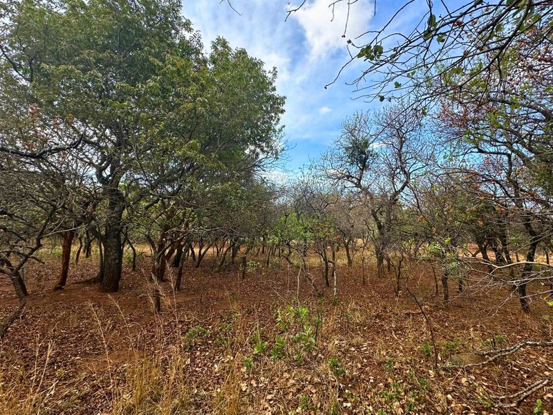 Vacant Stand for Sale in Kampersrus - Photo 7